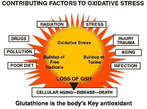 glutation antioxidant