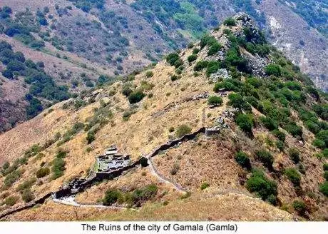 Ruins_of_the_city_of_Gamla_Gamala_525