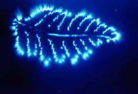 kirlian