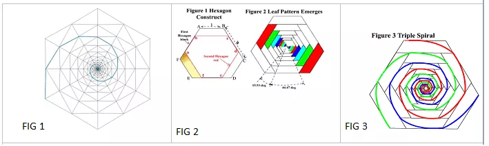 Hexagon surrounding a Fibonacci spiral