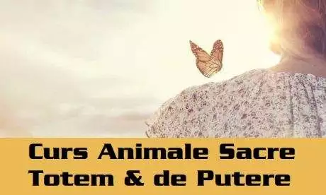 Curs si Initiere Animale Sacre Totem si Animale de Putere