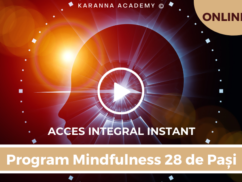 program mindfulness ACCES INSTANT