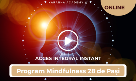 Program Mindfulness Acces Instant