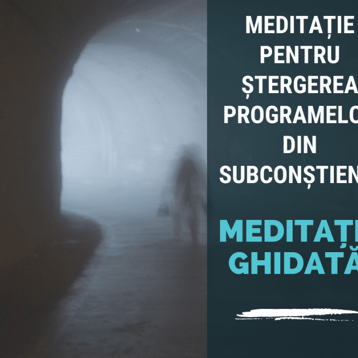 Meditatie pentru Stergerea Programelor din Subconstient