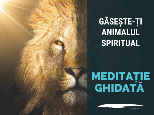 meditatie Găsește-ți Animalul Spiritual