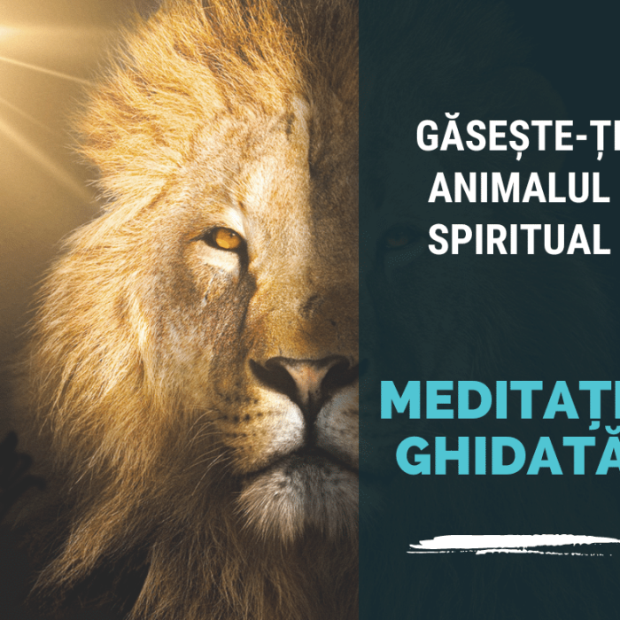 Meditație Ghidata Vocal - Găsește-ți Animalul Spiritual