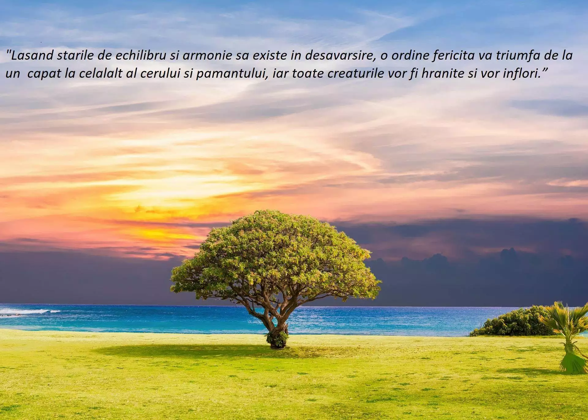 Cele Mai Importante Elemente ce Contribuie la Crearea unei Stări de Armonie